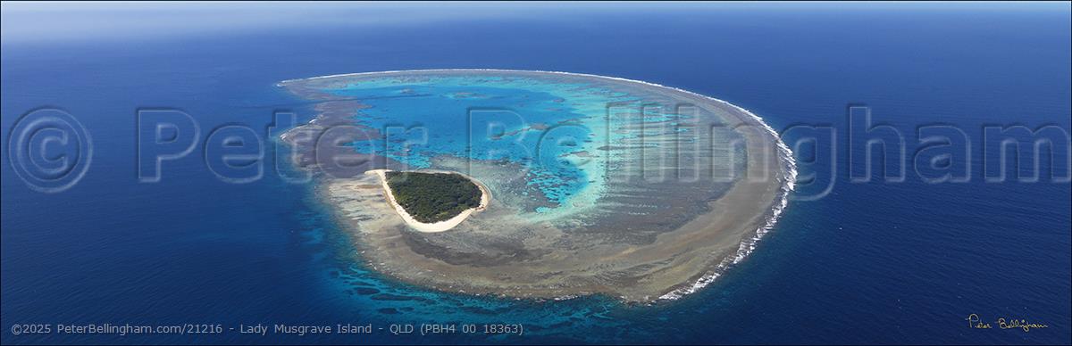 Peter Bellingham Photography Lady Musgrave Island - QLD (PBH4 00 18363)